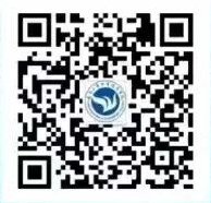 可能导致网站不能正常访问