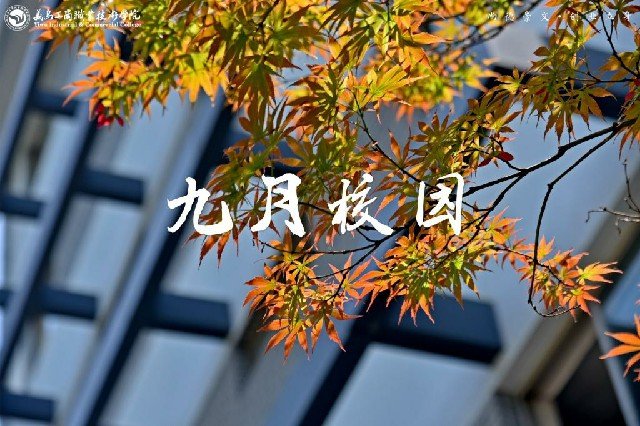 球王会网页端
