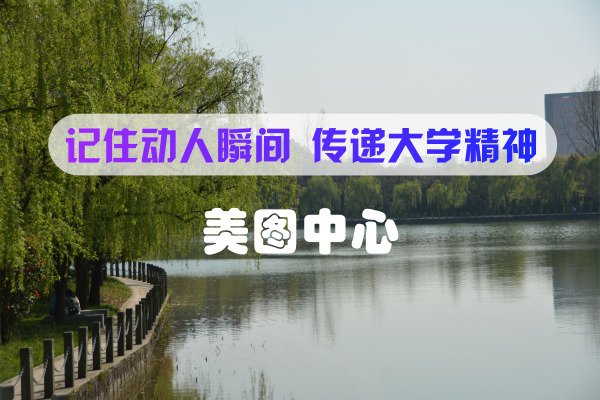 两翼支撑”专业群体系