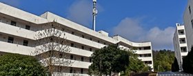 国际影响力50强