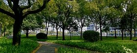 机电信息球王会体育